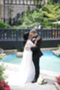 Title image of Wedding in the portfolio of Anastasiia
